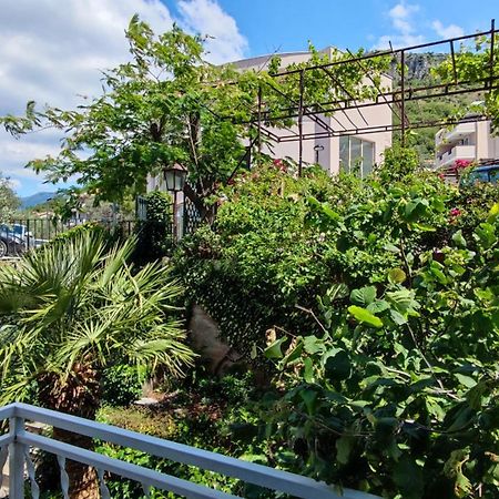 Apartmani Famelja Jovanovic Sveti Stefan Rum bild