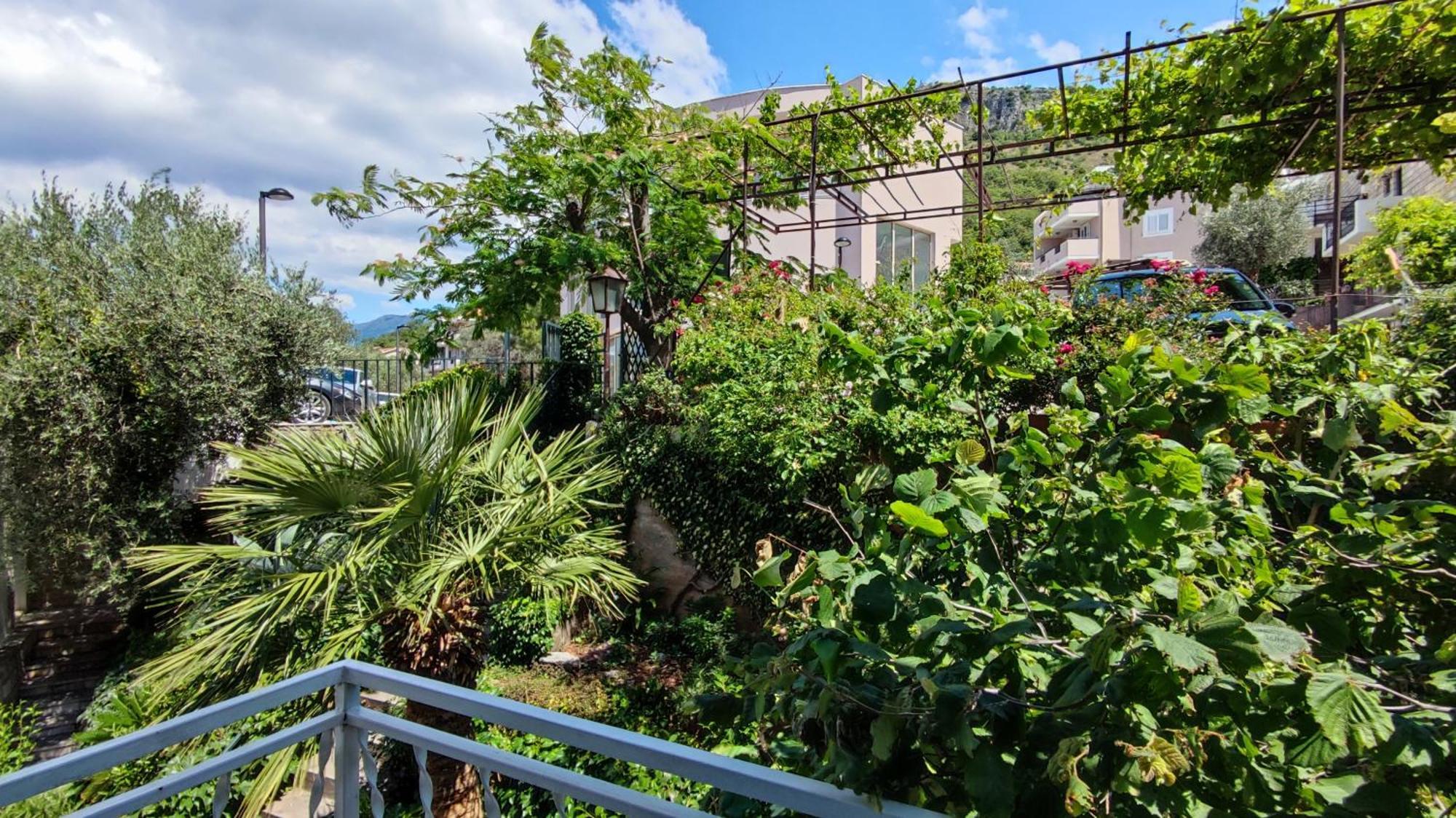 Apartmani Famelja Jovanovic Sveti Stefan Rum bild